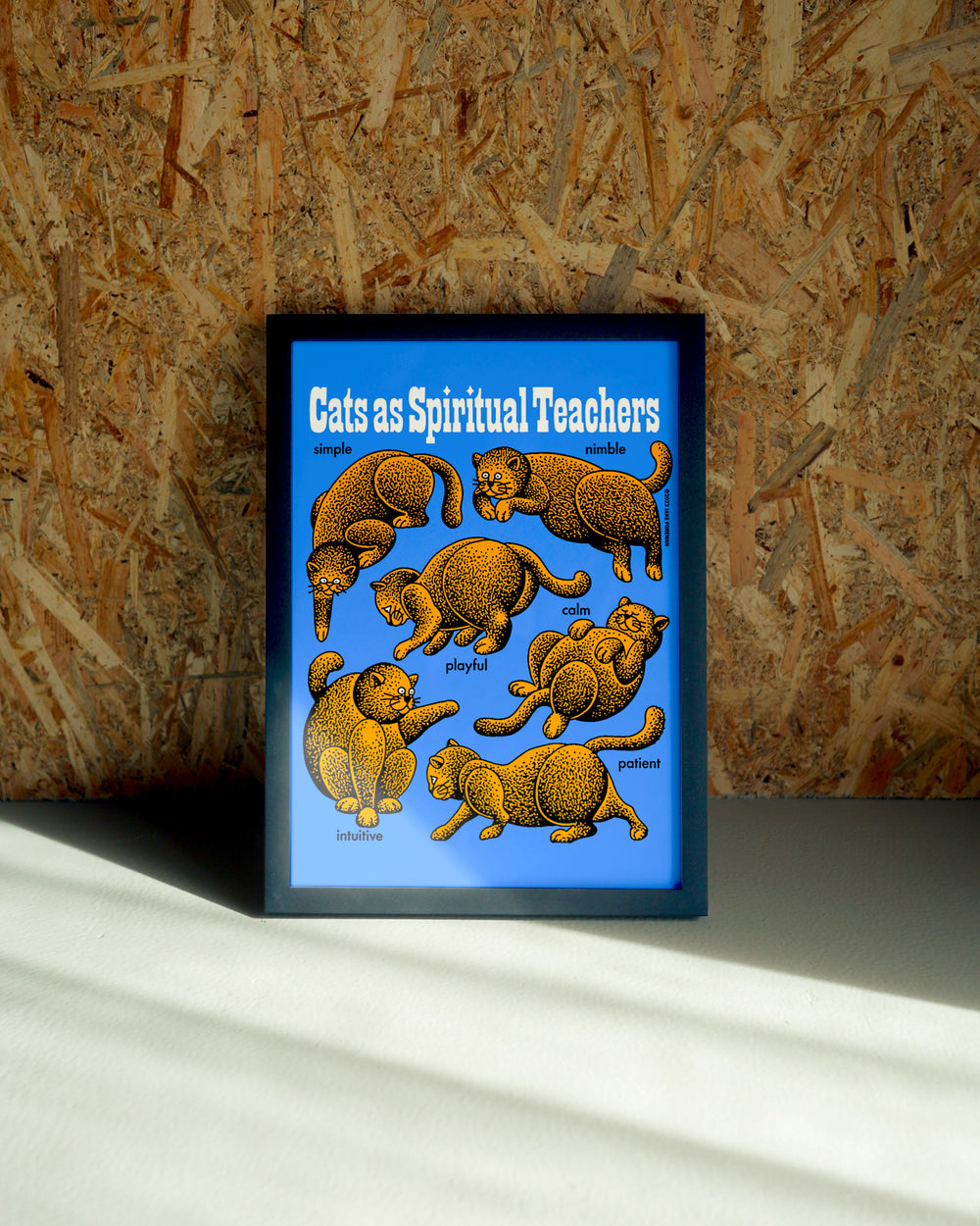 Catz wall art by Jake Foreman in a black frame