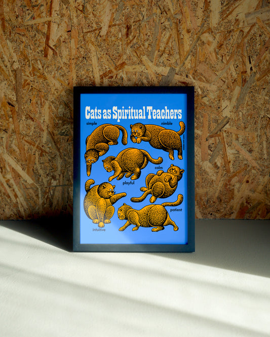Catz wall art by Jake Foreman in a black frame